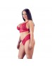 Cottelli Plus Size Red Lace Bra And Briefs