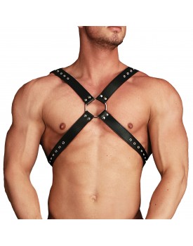 Ouch Adonis High Halter Harness