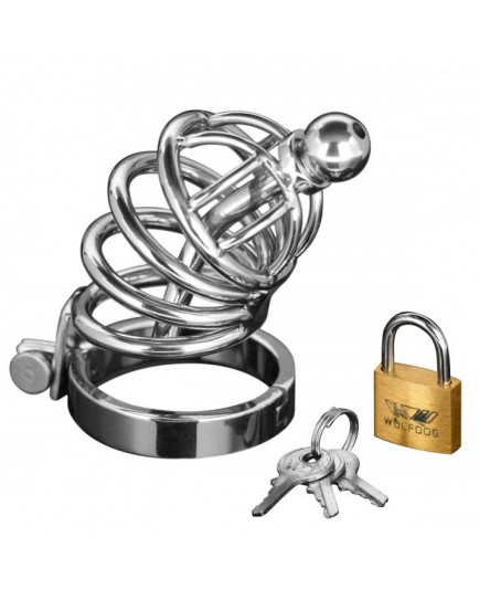 Asylum 4 Ring Locking Chastity Cage